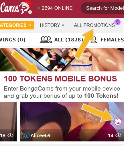 Bongacams tips about models and promotions