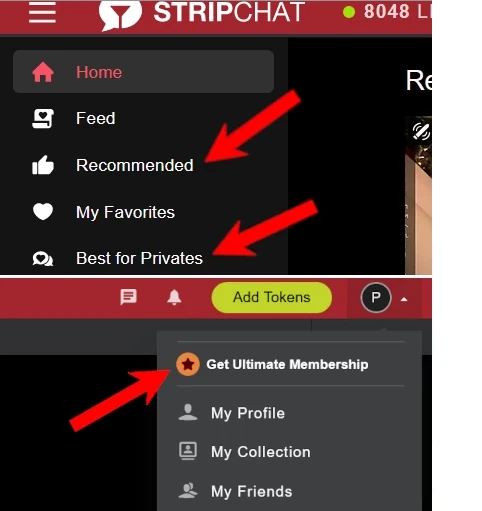 Personal advises about using Filters to search models and find good Promo on the third best cam site in the world